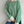 Load image into Gallery viewer, Women&#39;s O Neck Striped Sweater Pullovers Drop Shoulder Kintting Tops Casual Loose Long Sleeves Jumpers Autumn Winter For Female
